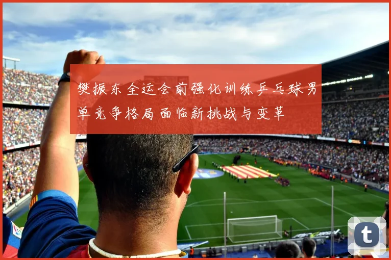 樊振东全运会前强化训练乒乓球男单竞争格局面临新挑战与变革