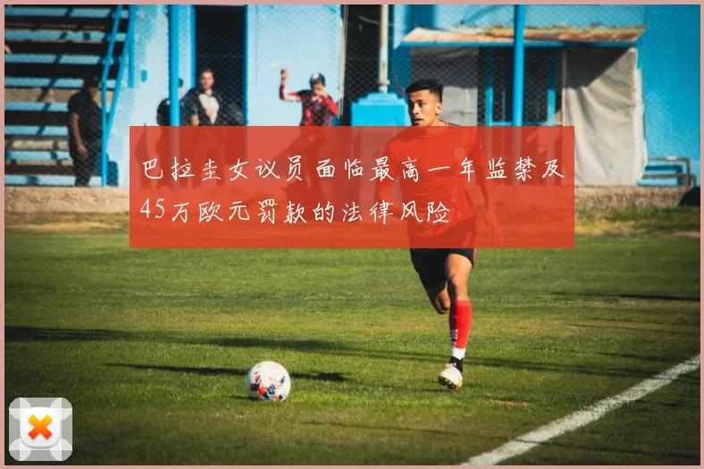 巴拉圭女议员面临最高一年监禁及45万欧元罚款的法律风险